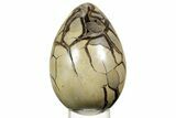 Septarian Dragon Egg Geode - Sparkly Black Crystals #364682-1